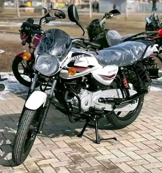 Boxer 150 cc